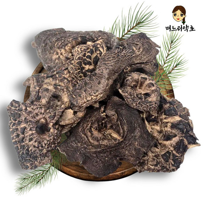 며느리약초 자연산 능이버섯 A급 (특품) 건조 100g, 1개
