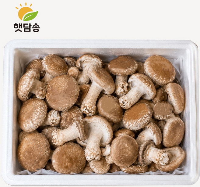 [쿠팡핫딜] 국내산 친환경 햇담송화 가정용 정품중급 송이향 송고 송화고버섯, 1박스, 가정용 1kg
