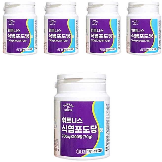 휘트니스 식염포도당, 5개, 100정 - 쿠팡