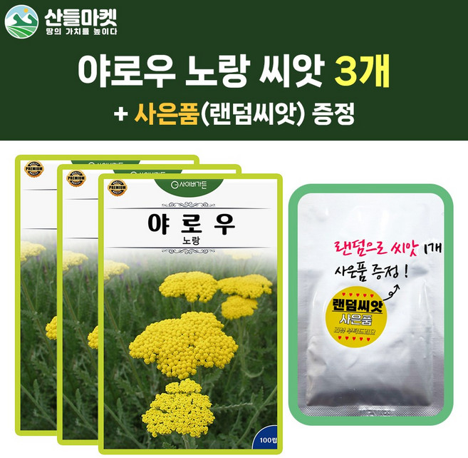 산들마켓 야로우 허브 씨앗 100립 노란 다년생 드라이 플라워로 사용하는 허브씨 3개+랜덤 씨앗 1개 증정, 1세트
