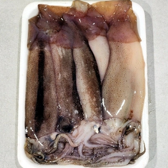 동해 통찜용 급냉 오징어 1kg, 1개