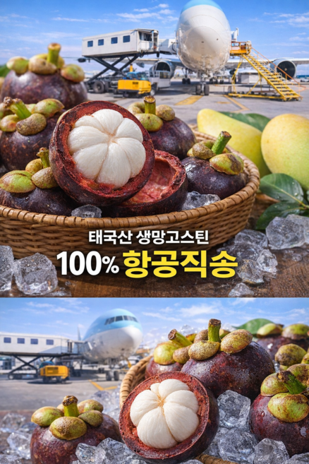 냉동(X)망고스틴 100% 생과 태국 수입 항공직송 신선한 열대과일 프리미엄 수입과일 500GX2, 1세트, 1kg