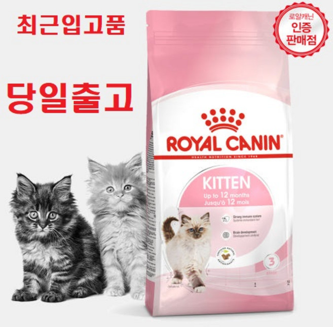 2kg (최근입고분) 로얄캐닌 고양이 사료 키튼 2kg 면역력강화 소화력 향상 필요에너지 충족 아기고양이 증정)닭가슴살1개, 1개