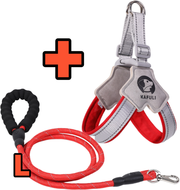 강아지 하네스 Y형 중대형견 반사 리드줄 세트 목 안조이는 가슴줄, 1세트, 레드