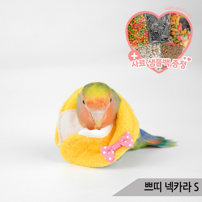 쁘띠 넥카라 S 앵무새 자해방지용 상처보호 앵무새옷