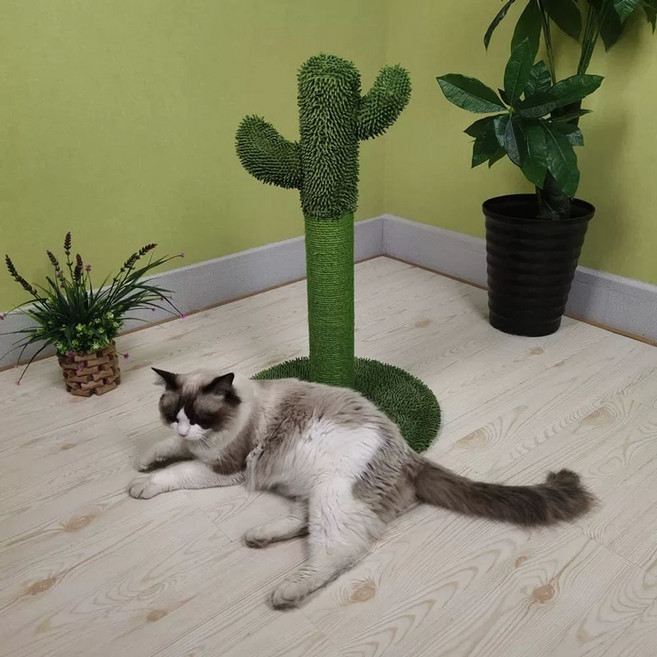고양이 선인장 스크래쳐 기둥 캣타워 호텔 장난감 캣트럴파크 꽃, 1개