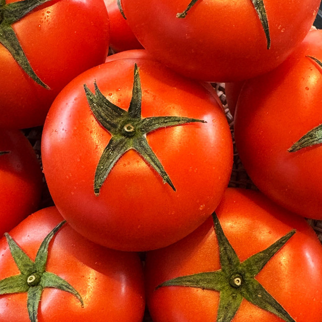 [토마토] 플루토스 유럽종 완숙토마토 못난이 5kg / 산지직송 요리용, 1박스