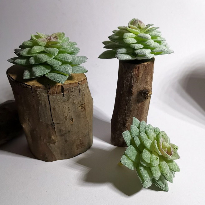 仿真多肉植物擺飾 原木盆栽, P36仿真多肉+木頭底座(隨機), 1套