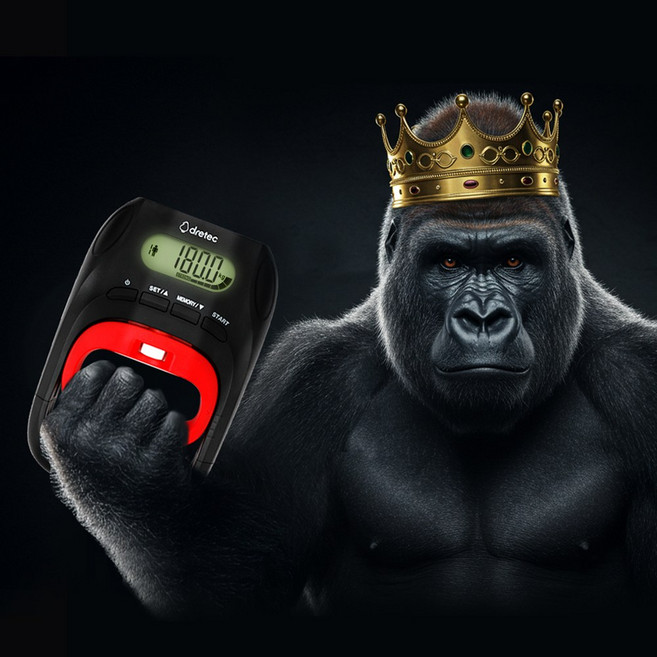 드레텍 악력측정기, 1개, 블랙