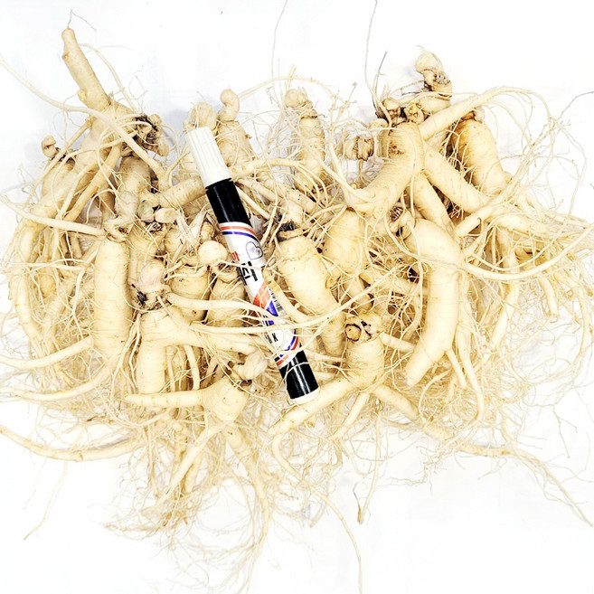 [GAP 인증 인삼] 농부가 직접 드리는 6년근-5년근 못난이 인삼(난발삼) 무료세척 예쁜 정품수삼 파삼 홍삼액달임오쿠 인삼튀김 삼계탕 인삼라떼(믹서) 인삼주, 750g, 1개, 세척안함, 1.콩콩난(750g,35뿌리내외)