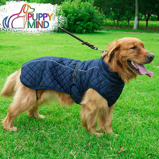 퍼피마인드 대형견옷 스트랩 코트, 네이비, 1개