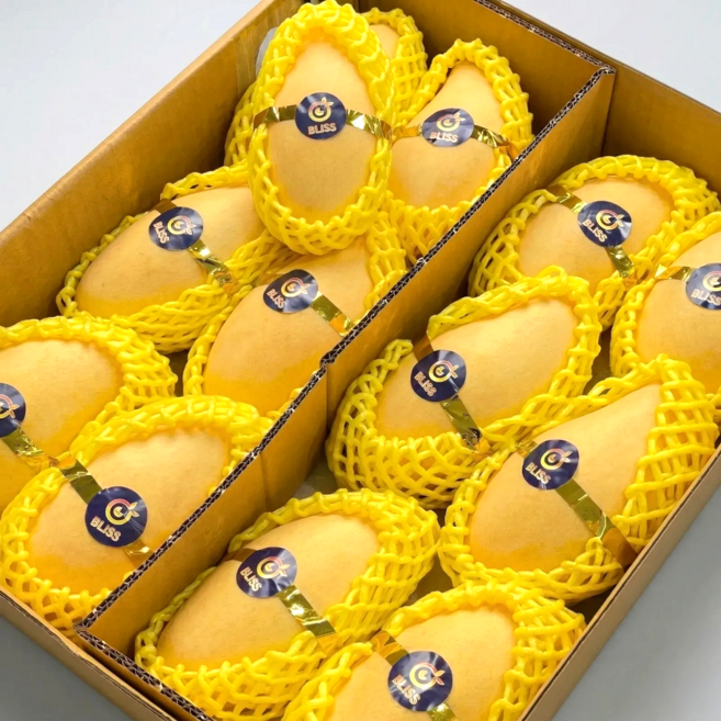 [최저가도전] 고당도보장 태국 골드망고 남독마이 항공직송, 1개, 4kg(8-14과 내외)