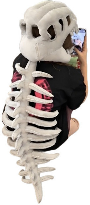 비공구오 공룡 잠옷, 공룡뼈모자