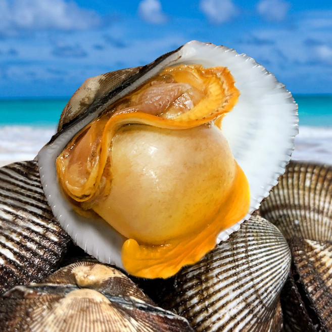 [남해직송] 살이꽉찬 피꼬막 당일새벽조업, 3kg, 1개