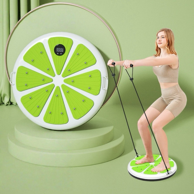 DANGZ 가정용 트위스트 헬스기구 유산소 운동 기구, 1개, 그린