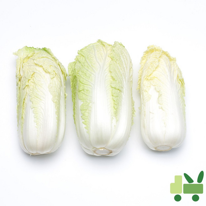 사라상회 알배기배추 (쌈배추) 6Kg (상), 1개