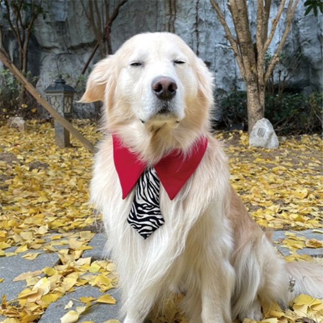 대형견 중형견 타액 수건 스카프 넥타이 턱받이 빨강 노랑 리트리버 도베르만, XL, 레드, 1개