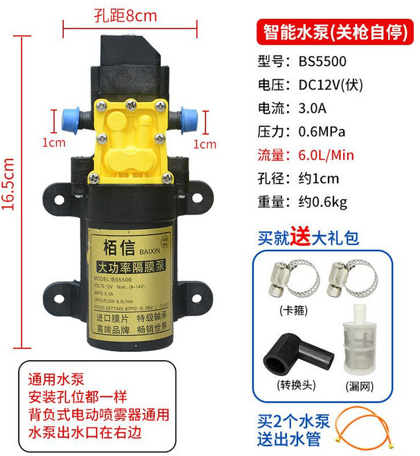 세차 펌프 분무용모터펌프 고압 분사 워터 12V 양수기 듀얼, 10 호약B2 스트레이트 스마트펌프 오프너(송장펌프 사, 1개