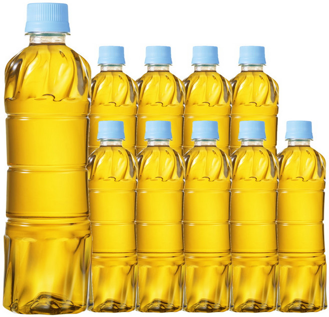 하늘보리 에코 무라벨, 500ml, 6개