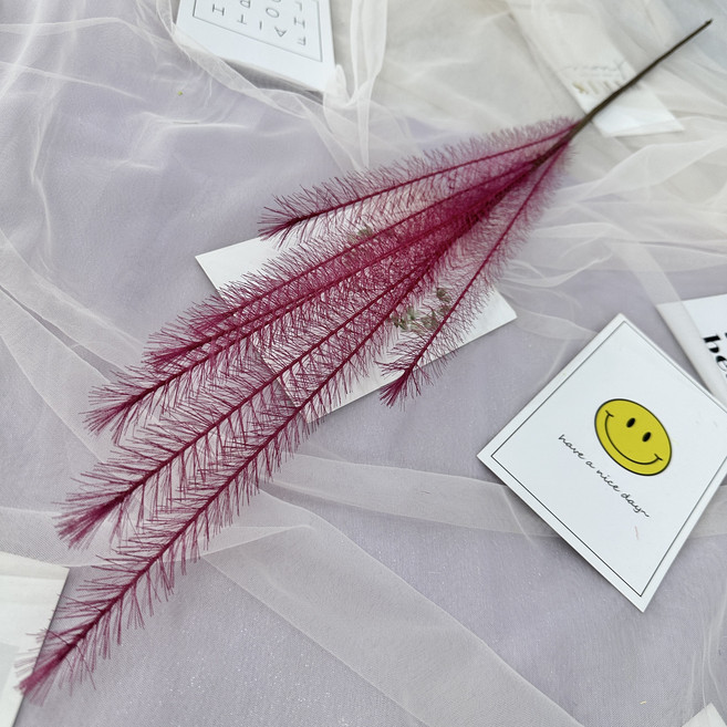 할메이드 생화같은 식물 핑크뮬리 갈대 조화 hl09 팜파스 1p, hl09 팜파스 1p 레드, 1개