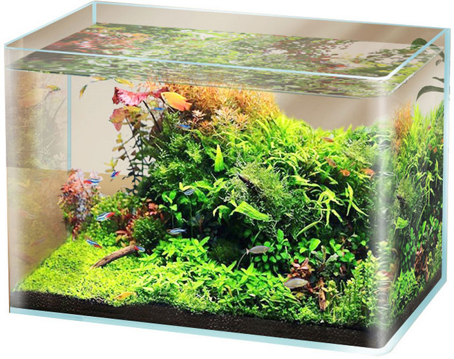 수아쿠아 타나 라운드 미니 오픈 수조, 투명, 1개