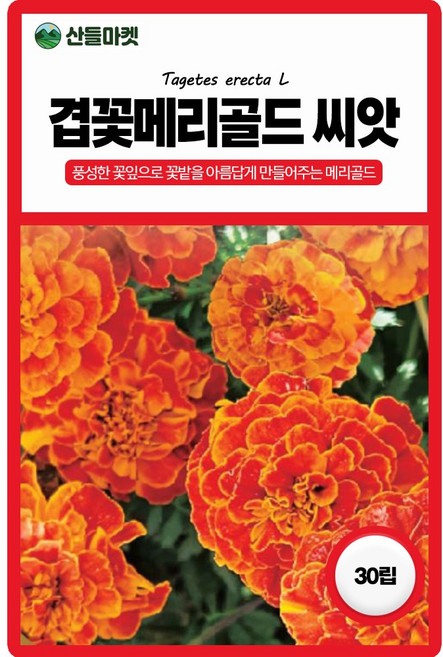 산들마켓 겹꽃메리골드 씨앗 30립 풍성하게 피어나 아름답게 만들어주는 일년생 꽃씨 종자, 4개