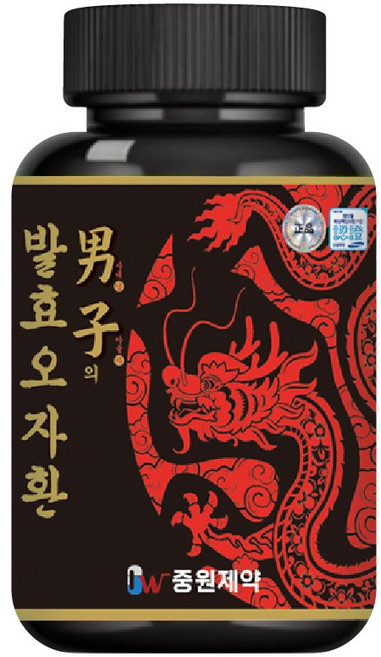 중원제약 남자의 발효오자환 100g, 1개