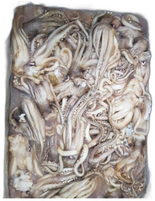 오징어다리 일렉스종자 1kg, 1개