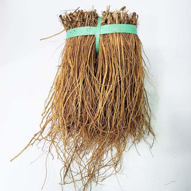 생우슬뿌리1kg / 세척하지 않은 생 우슬 뿌리 우슬초 쇠무릎뿌리, 1kg, 1개