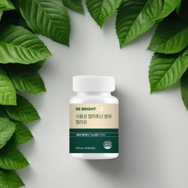 RE BRIGHT 꿀잠 식물성 멜라토닌 보조제 영양제HACCP 마그네슘함유, 2개, 60정