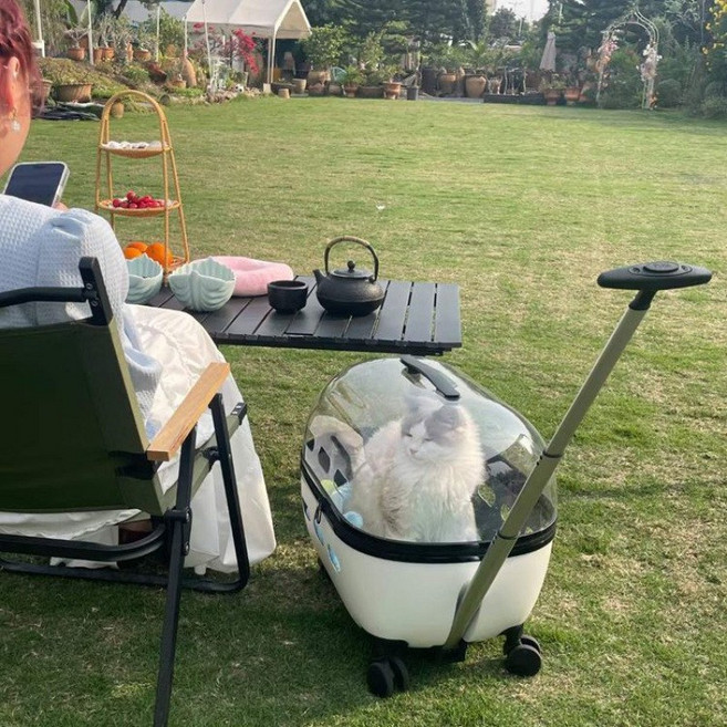 萌寵部落 寵物拉桿箱貓包 外出便攜兩衹透明狗包行李箱 小推車貓咪背包 透氣舒適, 1個, 黑色太空艙貓包適用於12斤內,適用於20斤內貓及10斤內狗