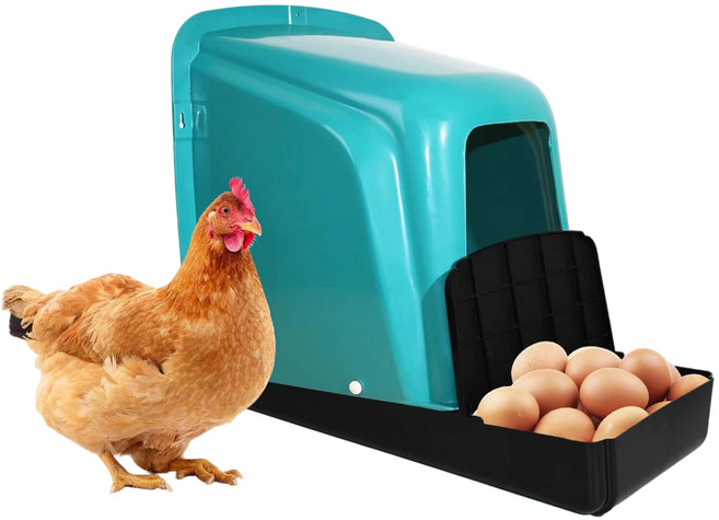 KCJ 닭 산란통 산란 둥지 계란 자동 분리, 1개, 그린