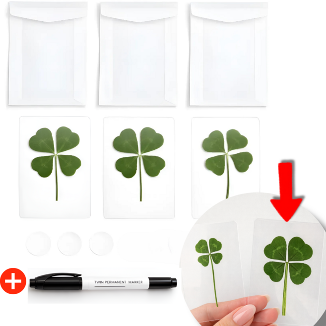 BIG사이즈 큰 잎 네잎클로버 코팅 카드, 3개, 트레이싱봉투 포함