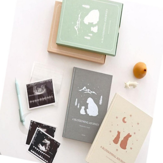 빅조이 임신 다이어리 태교앨범