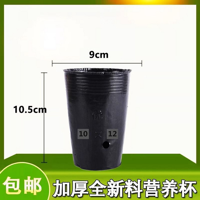 모종 컵 포트 화분 블루베리 일회용 묘목 비닐, 4. 10x12(500개)