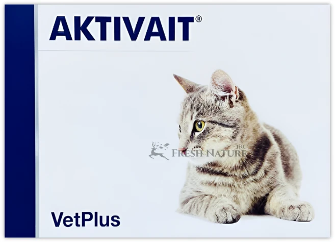 벳플러스 액티베이트 고양이 두뇌 영양 보조제, 1개, 혈액순환 - 쿠팡