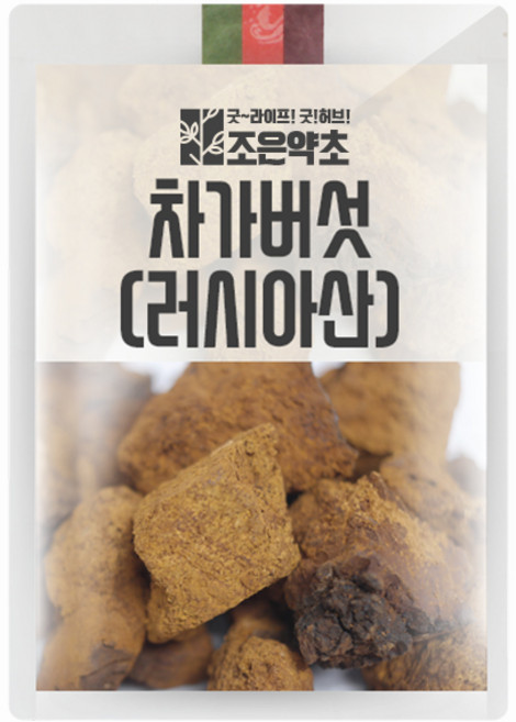 조은약초 건조 차가버섯 러시아산 500g 버섯류>>차가버섯, 1개