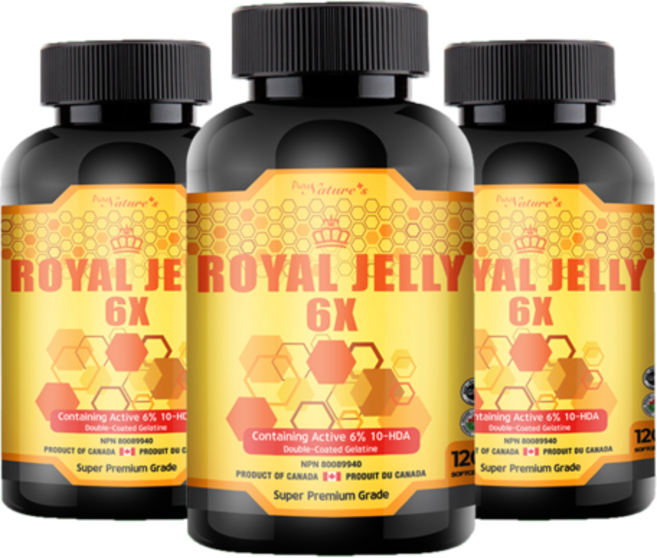 생 로얄젤리6X 10HDA 캐나다 로얄제리120캡슐 PNC 3병, 3개, 120정