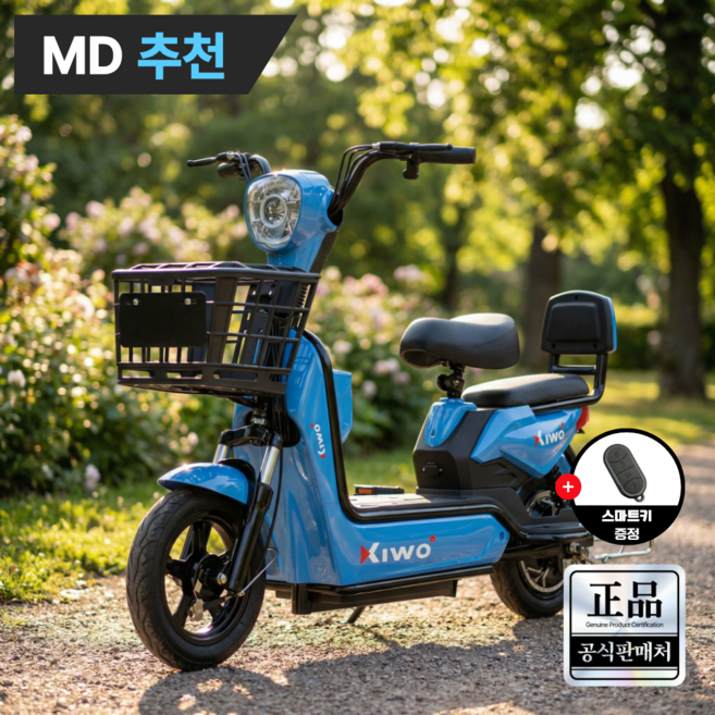 루토 전기자전거 26년 신형 고출력 전동 스쿠터 자토바이 배달 출퇴근, 블루, 경량스틸