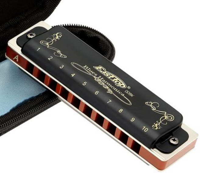 Easttop Diatonic Harmonica C 전문 악기 키 10 홀 블루 하프 입 블랙 ABS 빗 T008K, 1개