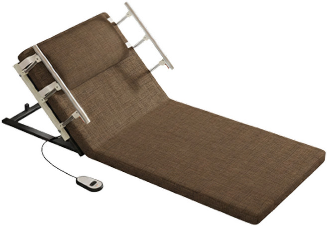 비브랜드 가정용 전동침대 리클라이너 모션베드, 브라운