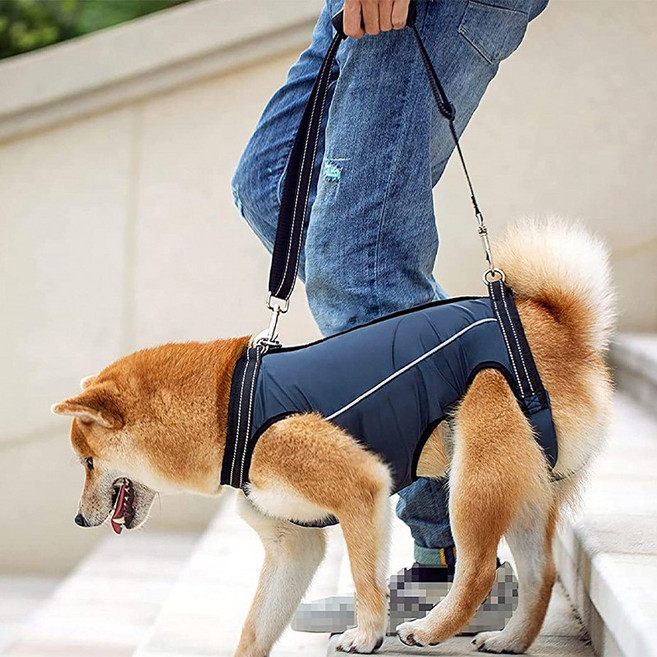 강아지 보조하네스 전신하네스 보행 보조 전신, 오렌지(전신하네스), 1개