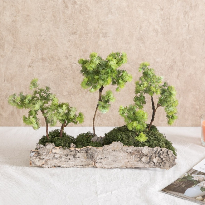 스칸디아모스 공기 정화 식물 천연 이끼 선물, 스칸디아모스솔가지센터피스 35cm, 단품, 1개