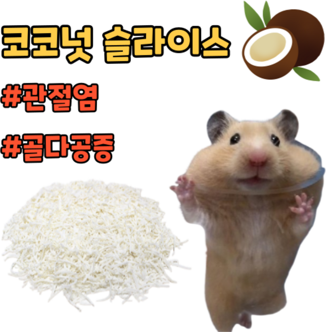 [코코넛] 햄스터 간식 이갈이 골든햄스터 드워프햄스터 간식, 1개, 50g