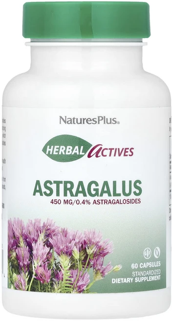 NaturesPlus 허브 액티브 황기 450mg 캡슐 60정, NaturesPlus허브액티브황기450mg캡슐60정, 1개 - 쿠팡