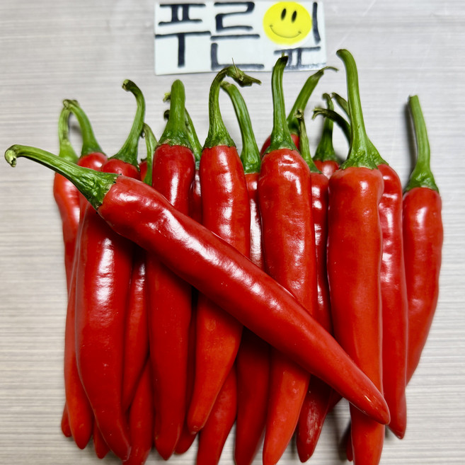 단단하고 찍어먹기 좋은 홍고추(특), 1개, 300g