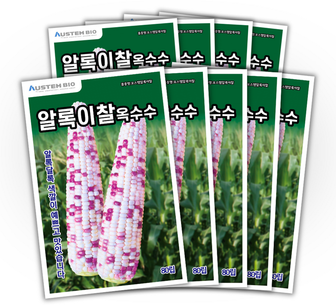 [주주씨앗] 알록이찰옥수수 씨앗 80립 얼룩찰옥수수 씨앗 다수확 통큰 옥수수, 9개
