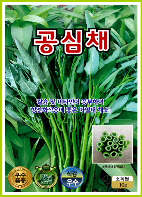 공심채 씨앗 10g 아열대채소 텃밭재배 여름채소 다수확 칼슘 풍부한 비타민채소 ks, 1개