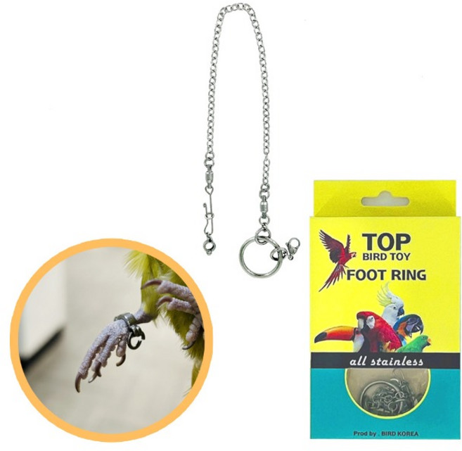 앵무새 외출용 올스텐 발목링 고리 산책 훈련 하네스, 1개