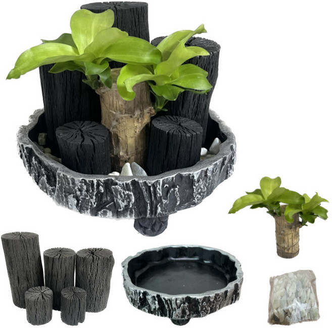 [희망참숯농원] 백송원형 숯가습기 세트 (행운목), 1개